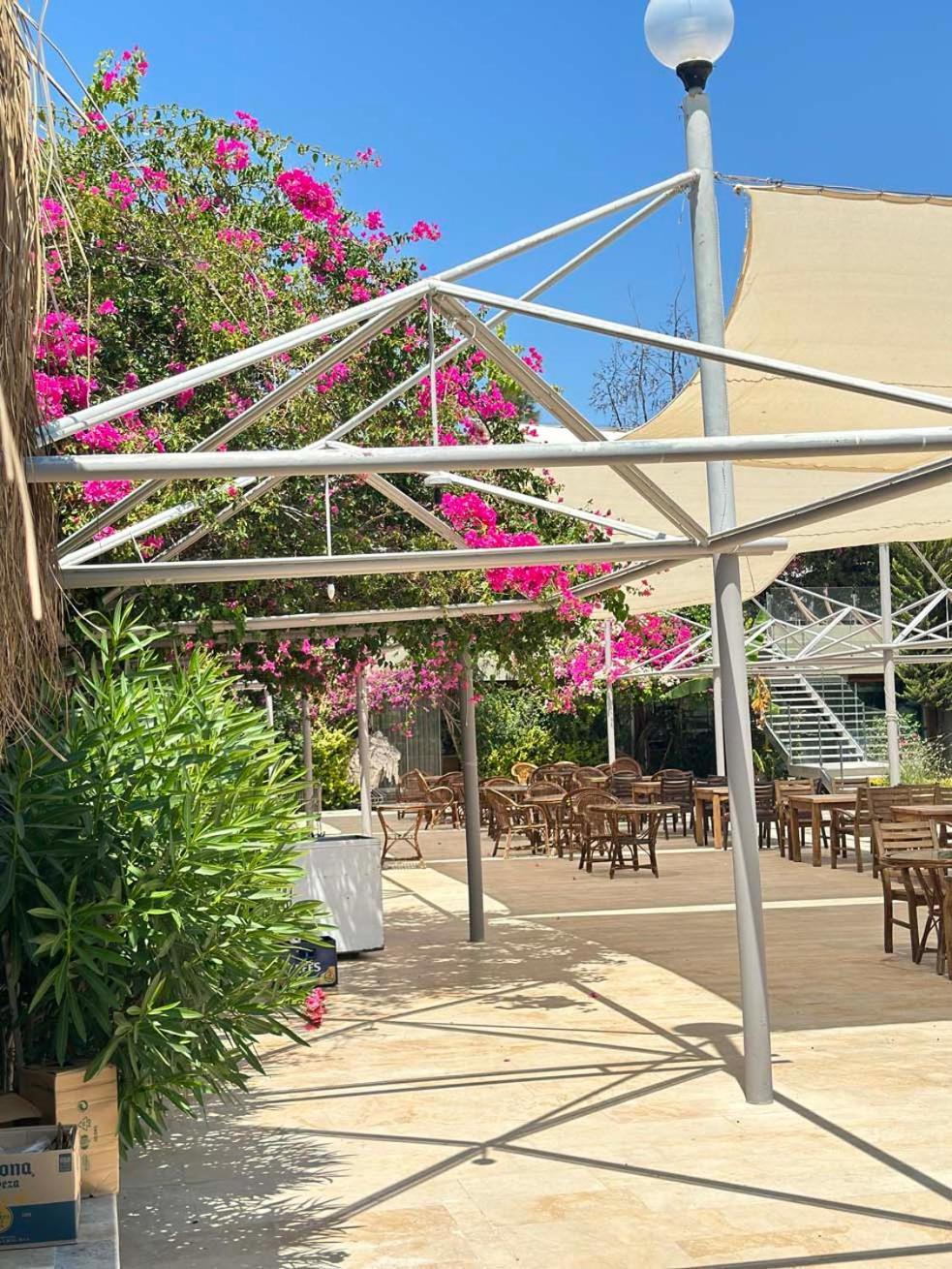 Ambrosia Hotel Beach & Spa Bitez Εξωτερικό φωτογραφία